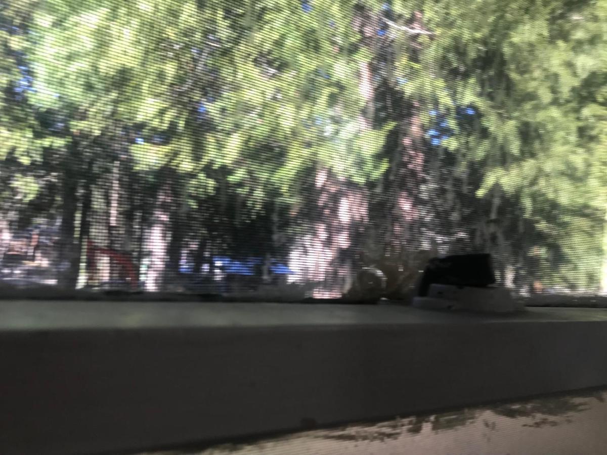 Dunsmuir Lodge Exteriör bild